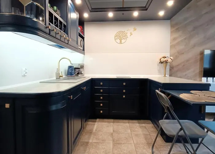 Aster Aparts Komfortowe W Centrum Zamkniete Osiedle Hala Garazowa