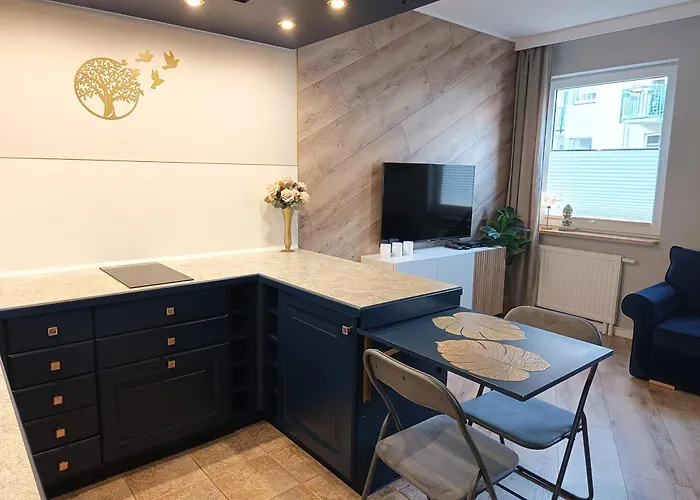 Apartman Aster Aparts Komfortowe W Centrum Zamkniete Osiedle Hala Garazowa Sopot